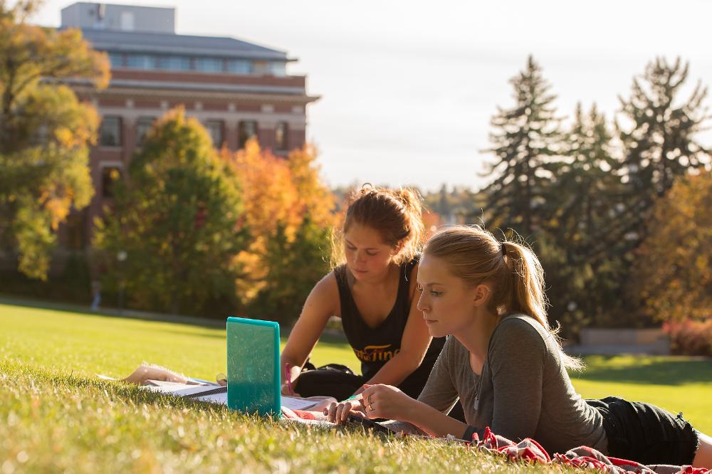 Thompson Lawn Studying